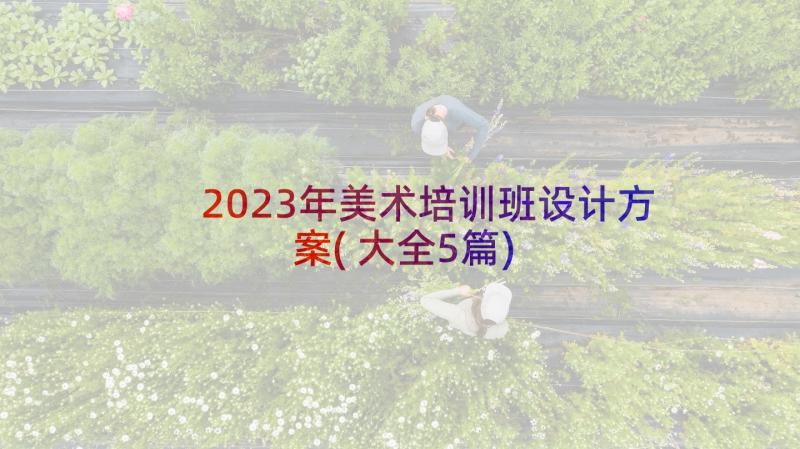 2023年美术培训班设计方案(大全5篇)