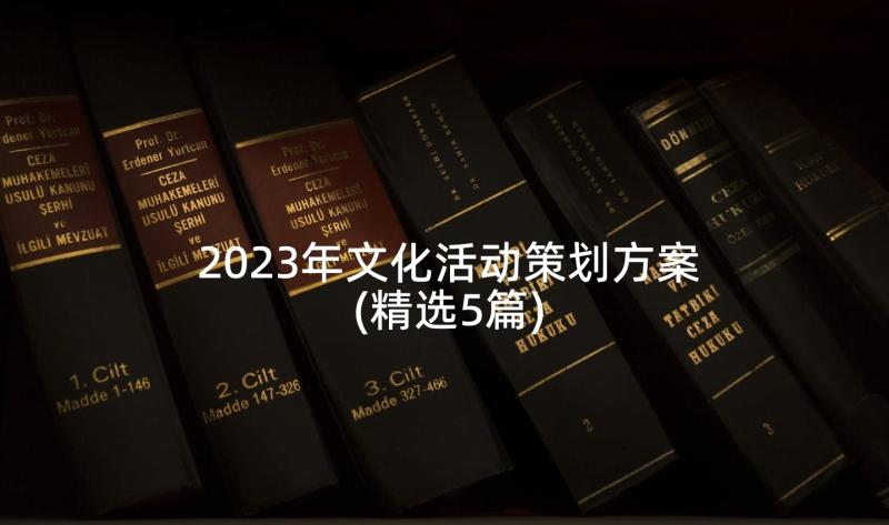 2023年文化活动策划方案(精选5篇)