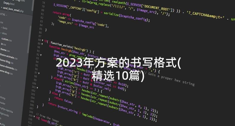 2023年方案的书写格式(精选10篇)