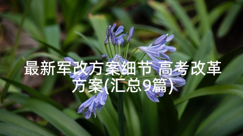 最新军改方案细节 高考改革方案(汇总9篇)