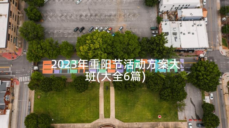 2023年重阳节活动方案大班(大全6篇)
