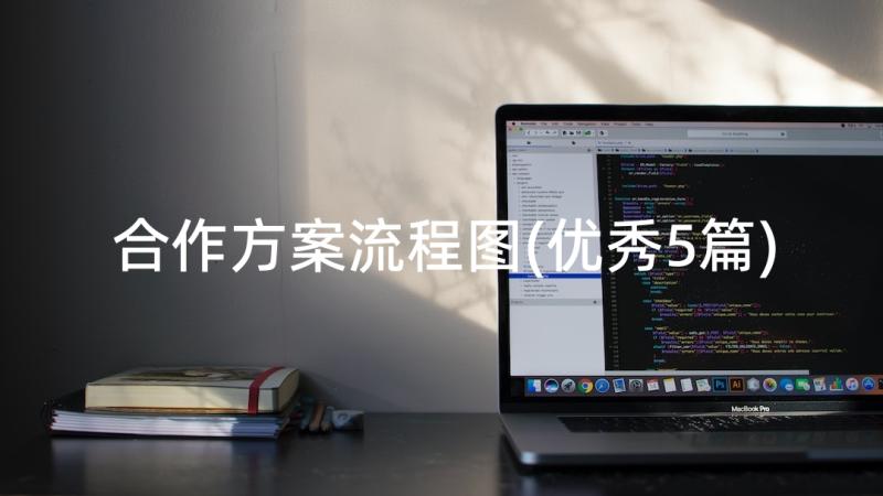 合作方案流程图(优秀5篇)