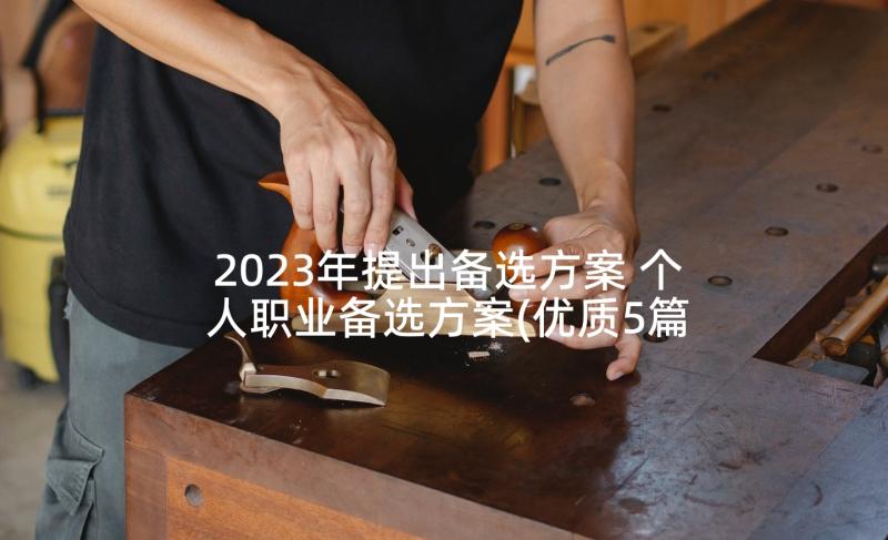 2023年提出备选方案 个人职业备选方案(优质5篇)