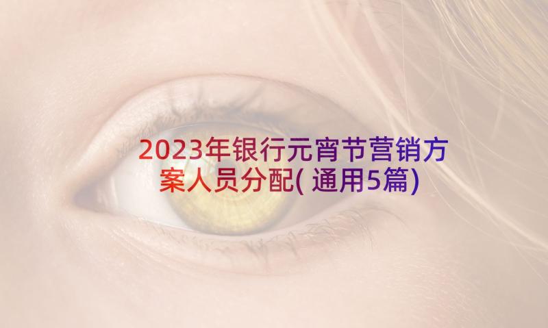 2023年银行元宵节营销方案人员分配(通用5篇)