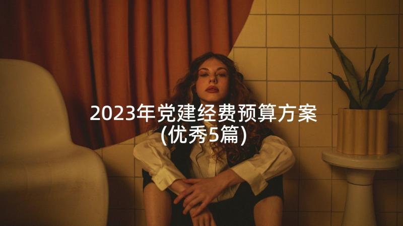 2023年党建经费预算方案(优秀5篇)