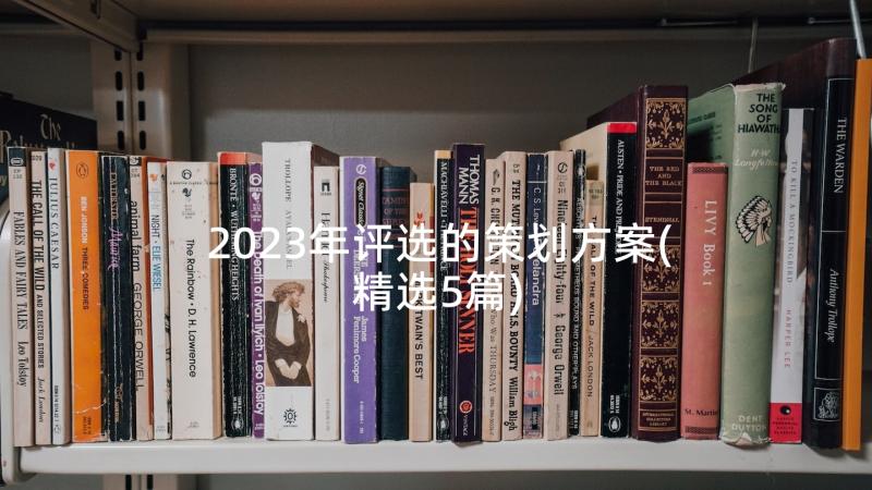 2023年评选的策划方案(精选5篇)