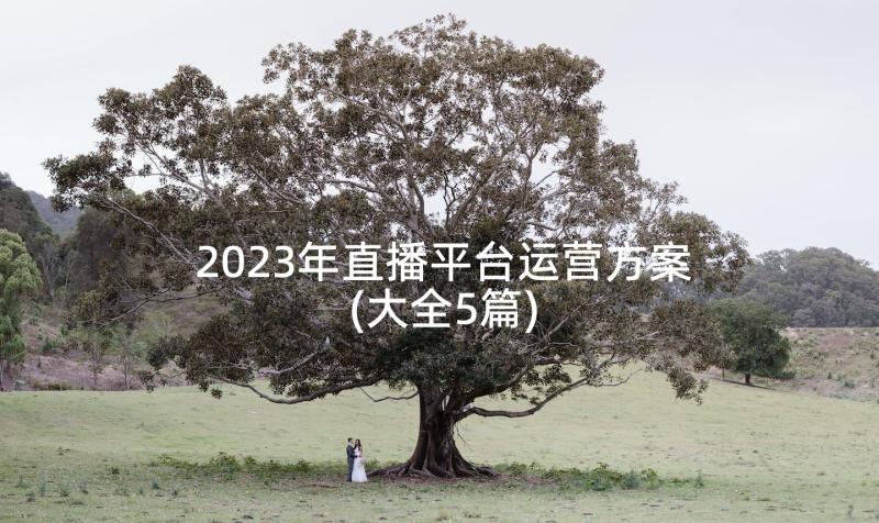 2023年直播平台运营方案(大全5篇)