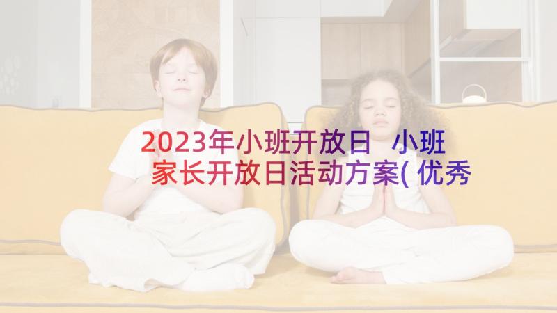 2023年小班开放日 小班家长开放日活动方案(优秀5篇)