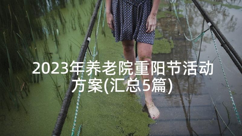 2023年养老院重阳节活动方案(汇总5篇)