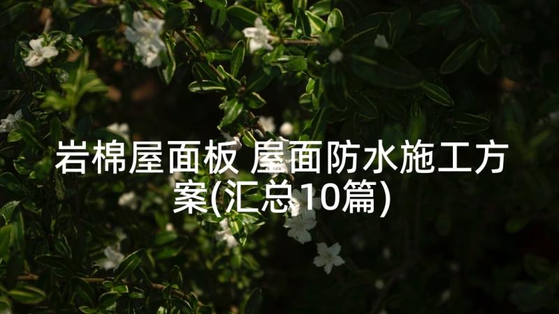 岩棉屋面板 屋面防水施工方案(汇总10篇)