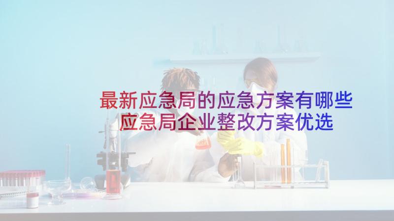 最新应急局的应急方案有哪些 应急局企业整改方案优选(通用5篇)