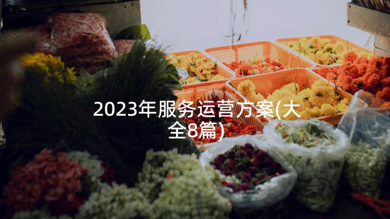 2023年服务运营方案(大全8篇)