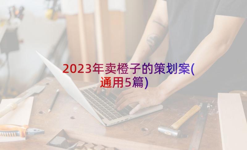 2023年卖橙子的策划案(通用5篇)