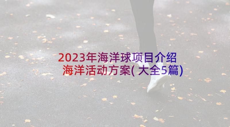 2023年海洋球项目介绍 海洋活动方案(大全5篇)