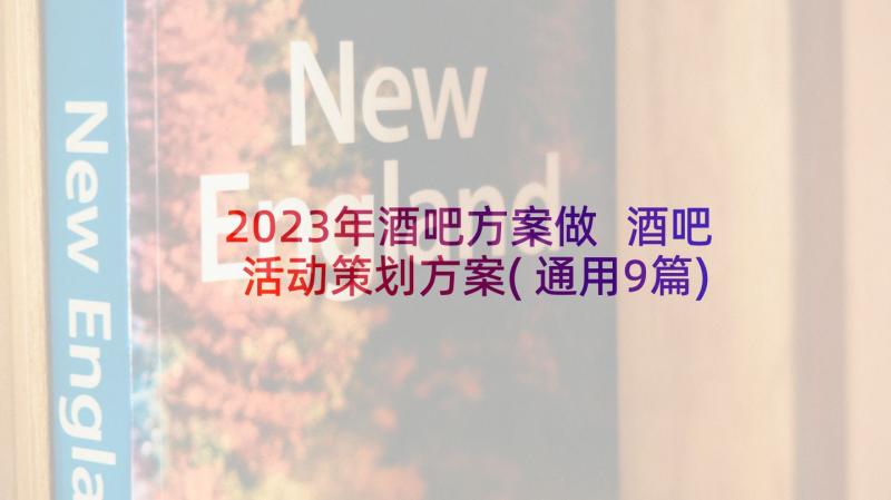 2023年酒吧方案做 酒吧活动策划方案(通用9篇)