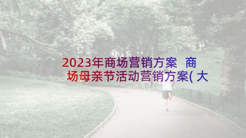2023年商场营销方案 商场母亲节活动营销方案(大全8篇)