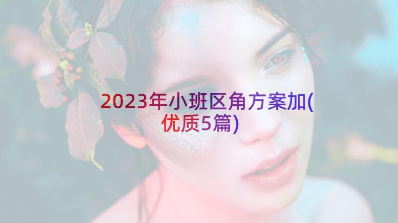 2023年小班区角方案加(优质5篇)