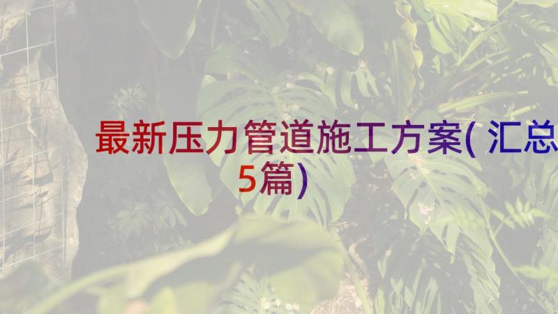 最新压力管道施工方案(汇总5篇)