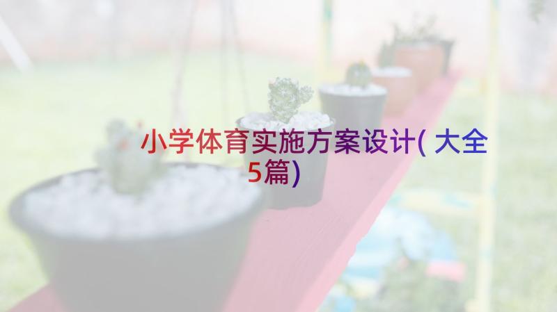 小学体育实施方案设计(大全5篇)