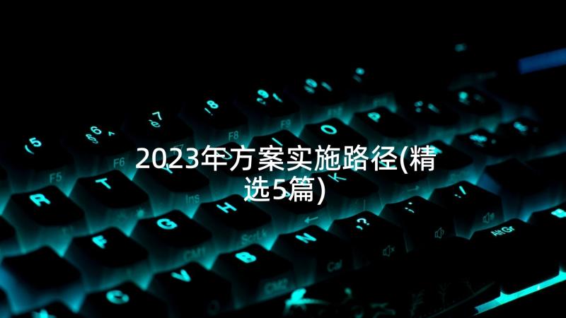 2023年方案实施路径(精选5篇)