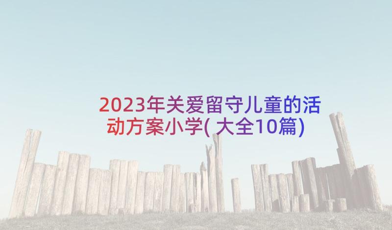 2023年关爱留守儿童的活动方案小学(大全10篇)