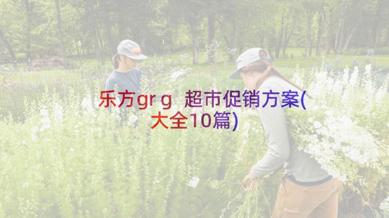 乐方grg 超市促销方案(大全10篇)