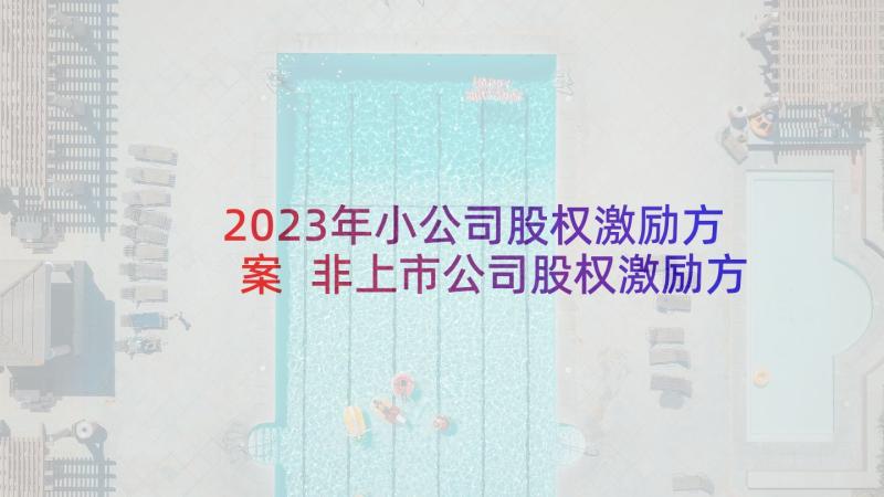 2023年小公司股权激励方案 非上市公司股权激励方案(优秀5篇)