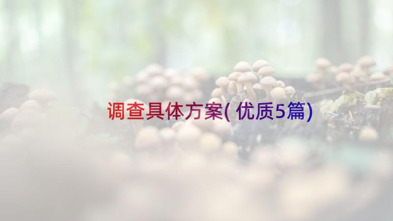 调查具体方案(优质5篇)