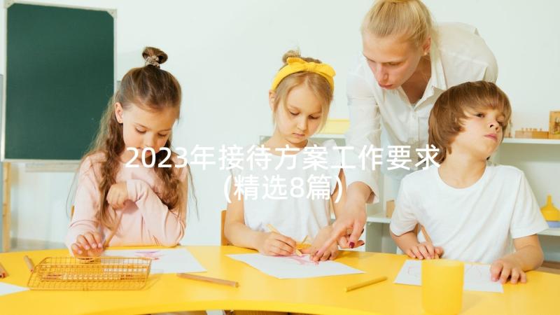 2023年接待方案工作要求(精选8篇)