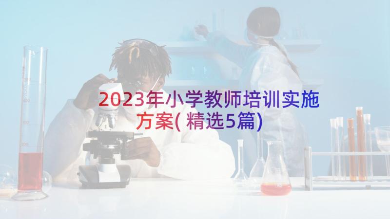 2023年小学教师培训实施方案(精选5篇)