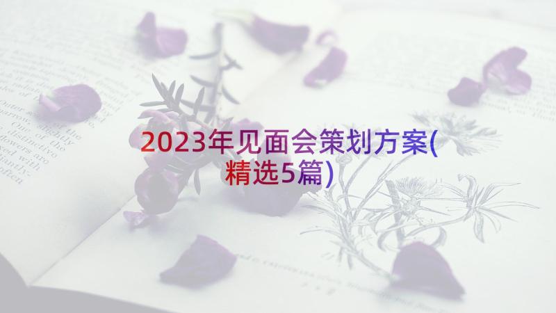 2023年见面会策划方案(精选5篇)