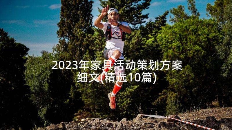 2023年家具活动策划方案细文(精选10篇)