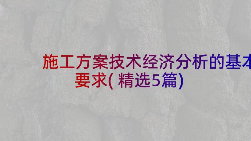 施工方案技术经济分析的基本要求(精选5篇)