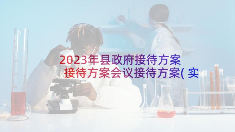 2023年县政府接待方案 接待方案会议接待方案(实用5篇)