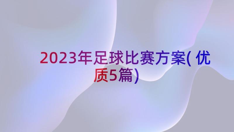 2023年足球比赛方案(优质5篇)