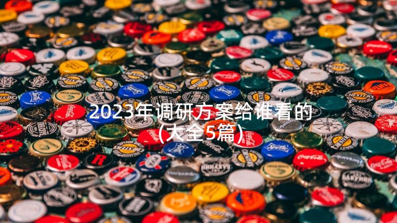 2023年调研方案给谁看的(大全5篇)