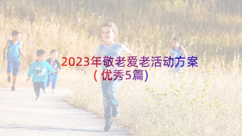 2023年敬老爱老活动方案(优秀5篇)