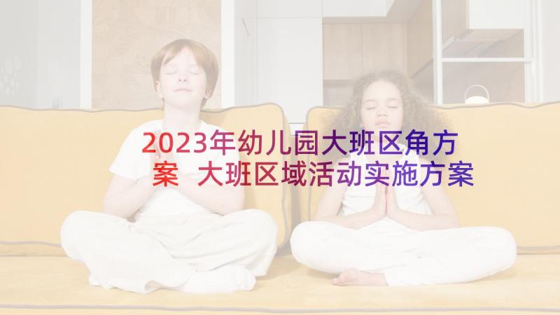 2023年幼儿园大班区角方案 大班区域活动实施方案(汇总6篇)