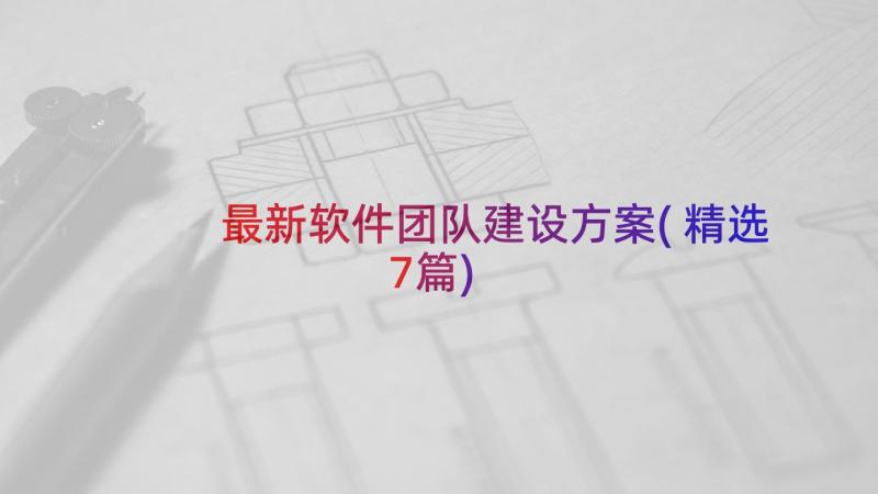 最新软件团队建设方案(精选7篇)