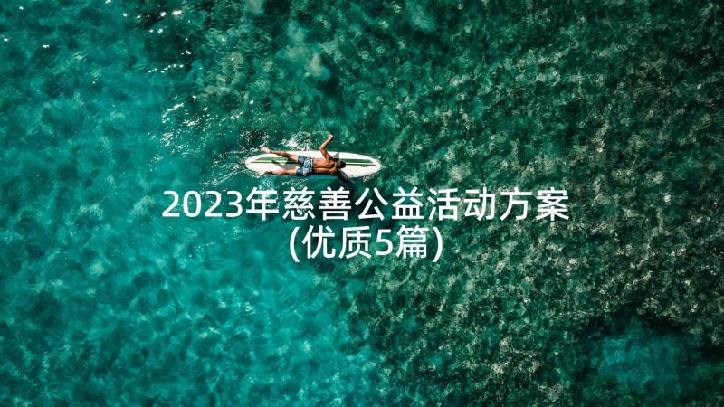 2023年慈善公益活动方案(优质5篇)