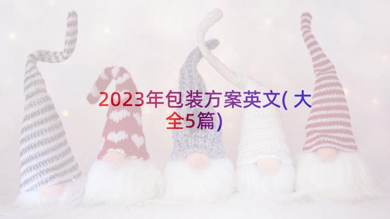 2023年包装方案英文(大全5篇)