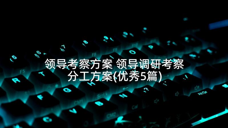 领导考察方案 领导调研考察分工方案(优秀5篇)