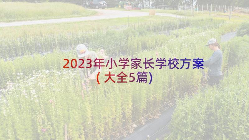 2023年小学家长学校方案(大全5篇)