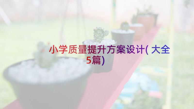 小学质量提升方案设计(大全5篇)