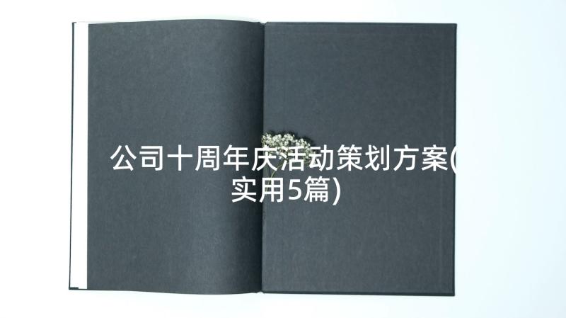 公司十周年庆活动策划方案(实用5篇)