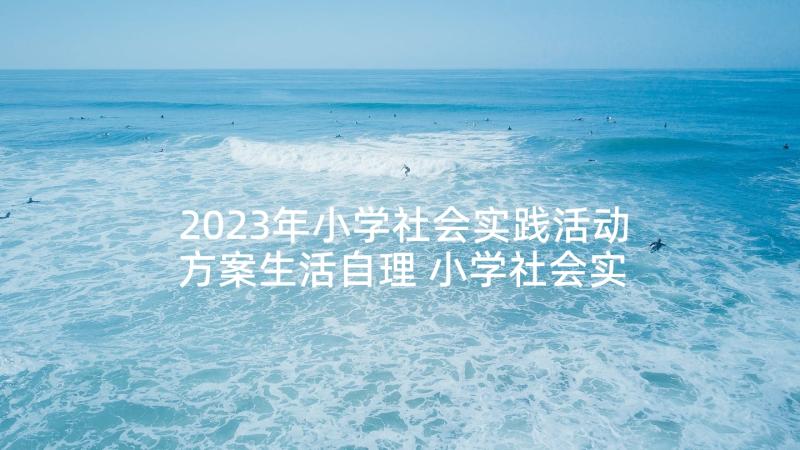 2023年小学社会实践活动方案生活自理 小学社会实践活动方案(通用6篇)