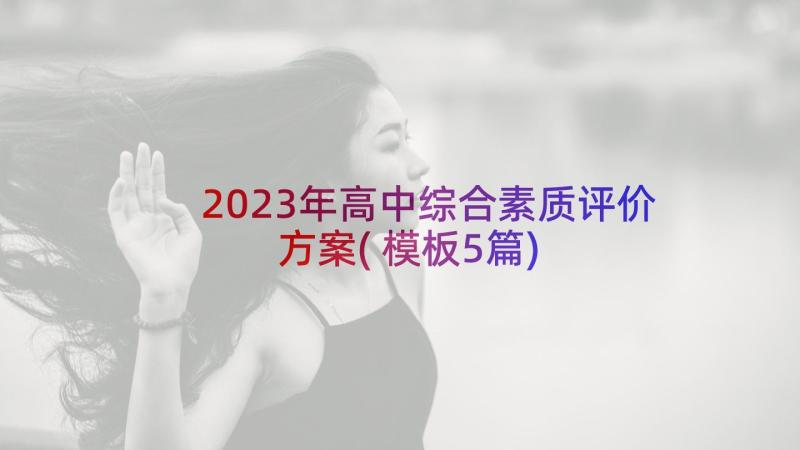 2023年高中综合素质评价方案(模板5篇)