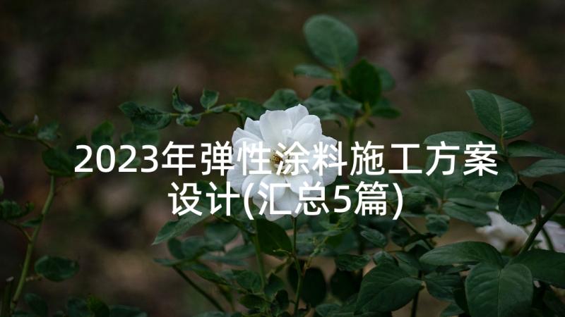 2023年弹性涂料施工方案设计(汇总5篇)