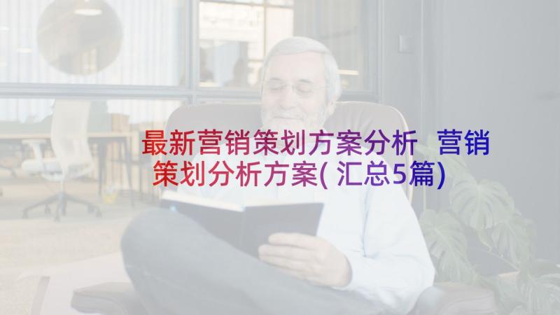 最新营销策划方案分析 营销策划分析方案(汇总5篇)