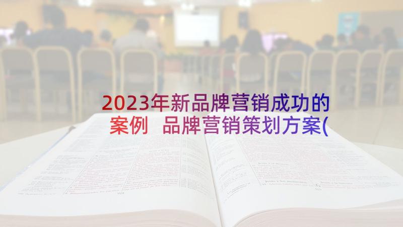 2023年新品牌营销成功的案例 品牌营销策划方案(模板5篇)